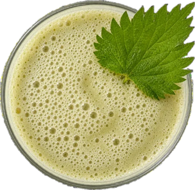 Smoothie od koprive